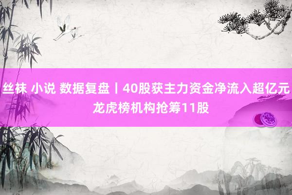 丝袜 小说 数据复盘丨40股获主力资金净流入超亿元   龙虎榜机构抢筹11股