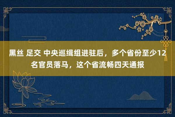 黑丝 足交 中央巡缉组进驻后，多个省份至少12名官员落马，这个省流畅四天通报